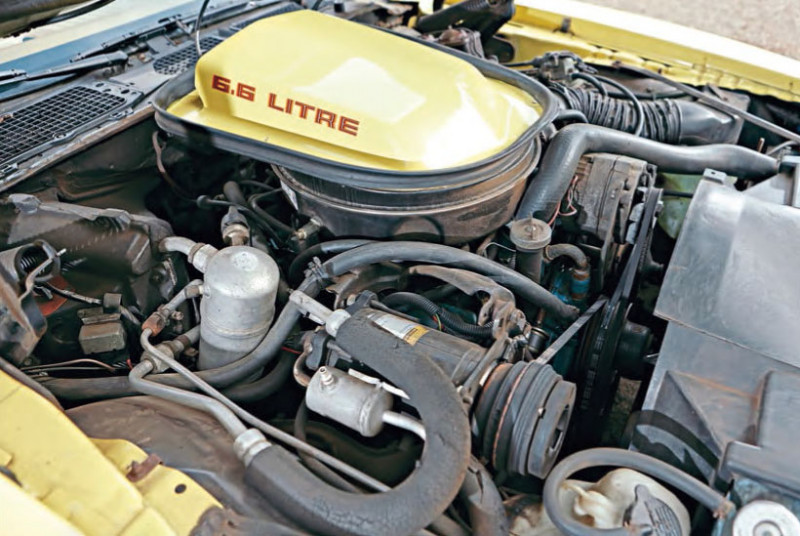 1979 Pontiac Firebird Trans Am - engine V8