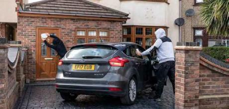 Crime data reveals car thieves are far from green-fingered